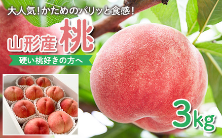 ydD̕ցzlCI߂̃pbƐHIR`Y  3kgyߘa8NYs\zFS25-084