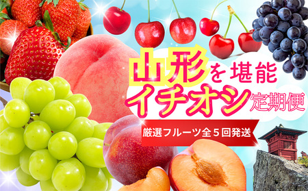 y5z܂\IC`IVցyߘa8NYs\zFS25-086