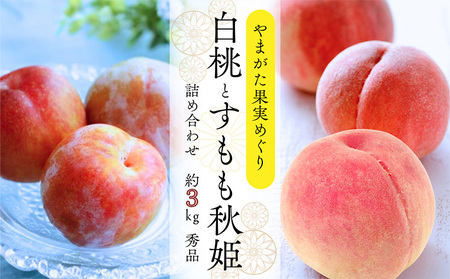 ܂ʎ߂ \ƏHP\ 3kg Giyߘa8NYs\zFS25-090