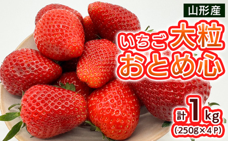  嗱ƂߐS 1kg(250g×4pbN)yߘa8NYs\zFS25-096