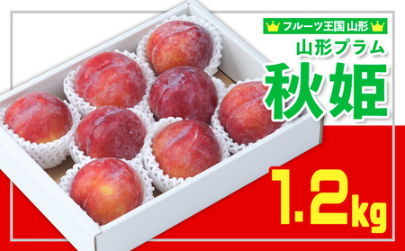 フルーツ王国山形★山形プラム(秋姫)1.2kg すもも[令和8年産先行予約]FS25-097