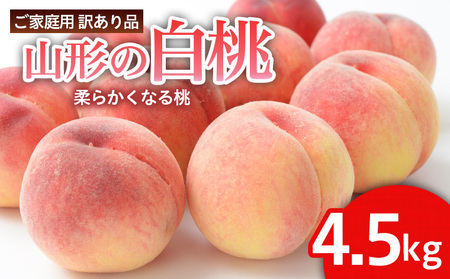 [ご家庭用訳あり品]山形の白桃(やわらかくなる桃) 4 .5kg以上(18玉〜25玉)[令和8年産先行予約]FS25-098