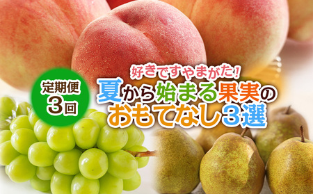 [定期便3回]好きですやまがた!夏から始まる果実のおもてなし 3選[令和8年産先行予約]FS25-099