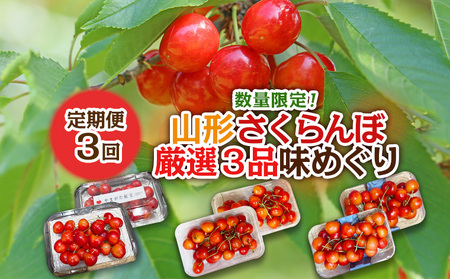 [定期便3回]数量限定!山形さくらんぼ厳選3品味めぐり[令和8年産先行予約]FS25-102