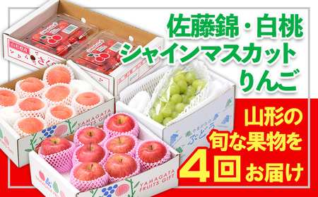 y4zt[cR`сEEVC}XJbgE  FY25-358