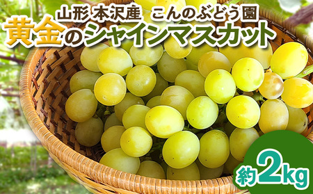 ũVC}XJbgv2kg R`s { ̂Ԃǂyߘa8NYs\zFS25-103