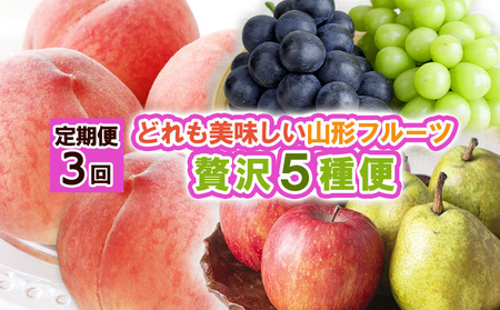 y3zǂ R`t[c ґ5ցyߘa8NYs\zFS25-122