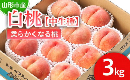 R`sY  yzuE䂤EԂ܁v_炩Ȃ铍3kg (8`11)yߘa8NYs\zFS25-126