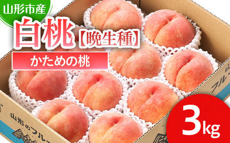 R`sY  yӐzuɒBEEɒBv߂̓3kg (6`11)yߘa8NYs\zFS25-128