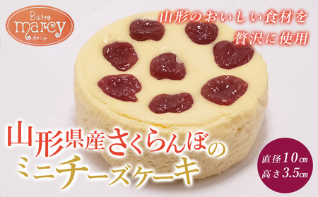 �R�`���Y �������ڂ̃~�j�`�[�Y�P�[�L FY25-395