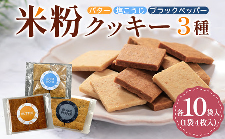 �ĕ��N�b�L�[3��e10�ܓ��� FY25-407