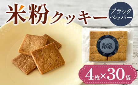 �ĕ��N�b�L�[(�u���b�N�y�b�p�[)4��×30�� FY25-413