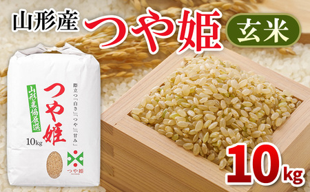 �R�`�Y ��P ���� 10kg FY25-437