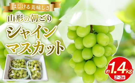 �͂�������������I�R�`�̒��ǂ�V���C���}�X�J�b�g ��1.4kg 2�`3�[�y�ߘa8�N�Y��s�\��zFS25-135