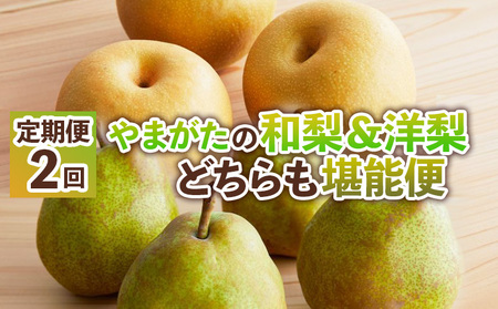 �y�����2��z��܂����̘a�����m���ǂ�������\�ցy�ߘa8�N�Y��s�\��zFS25-138