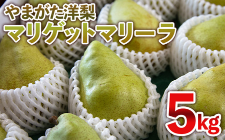 ��܂����m�� �}���Q�b�g�}���[�� 5kg�y�ߘa8�N�Y��s�\��zFS25-142