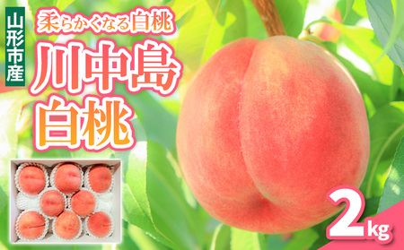 �_�炩���Ȃ� �쒆�� ���� �G�i 2kg (5�`8��)�y�ߘa8�N�Y��s�\��zFS25-145