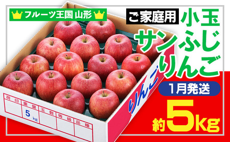 ���t���[�c�����R�`���y���ƒ�p�z���ʃT���ӂ����(����) �D�i ��5kg(�ʐ����܂���)�y1�������z FY25-439