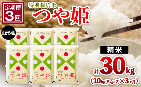 【定期便3回】山形産 特別栽培米 つや姫 10kg(5kg×2)x3ヶ月(計30kg) FY25-466