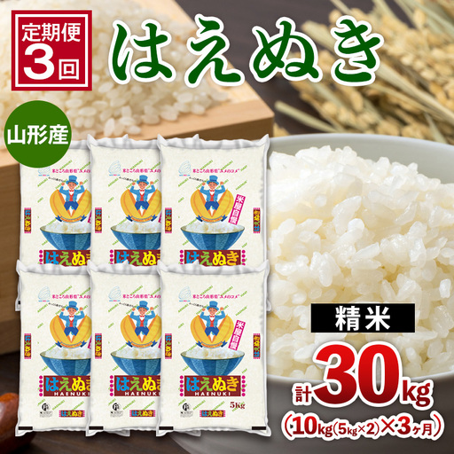 【定期便3回】山形産 はえぬき 10kg(5kg×2)x3ヶ月(計30kg) FZ26-775