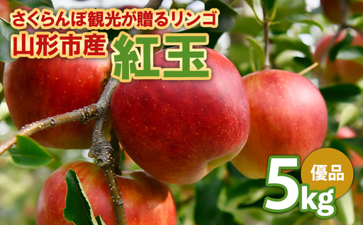 さくらんぼ観光が贈るリンゴ 紅玉 こうぎょく 優 5kg FY26-040