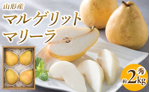 山形県産 マルゲリットマリーラ 秀 約2kg(4〜6個) FY26-042