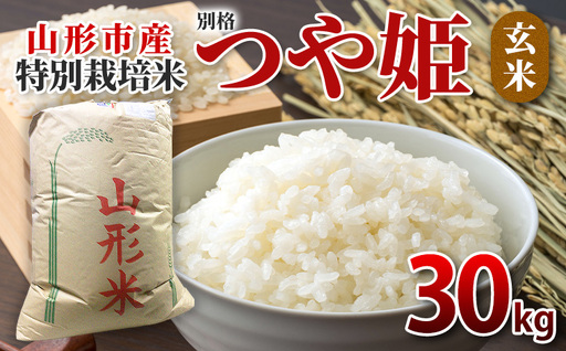 特別栽培米 つや姫 玄米30kg FY26-068