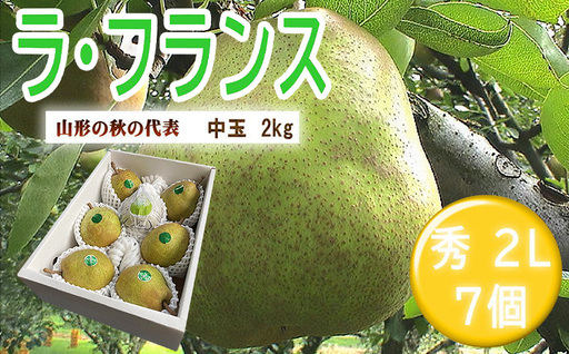 山形特産ラフランス 特秀2L 7個 FY26-070