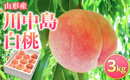 山形県産 川中島白桃 3kg FY26-074