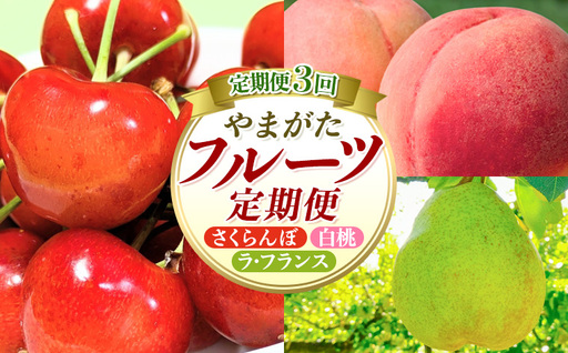 [定期便3回]やまがたフルーツ定期便 さくらんぼ /白桃/ラフランス FY26-075