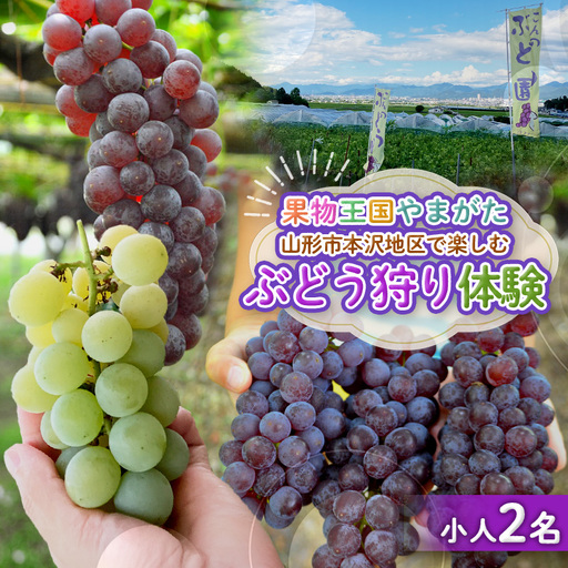 ぶどう狩り体験 (小学生以下2名まで利用) FY26-093