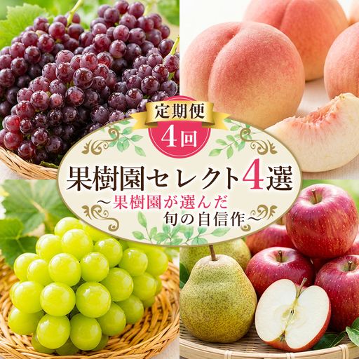 [定期便4回]果樹園セレクト4選 果樹園が選んだ、旬の自信作 FY26-183
