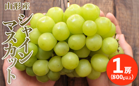 ՂՂ̑[VC}XJbg 1[(800gȏ) yߘa8NYs\zFU20-466  ʕ t[c R` R` R`s 2026NY