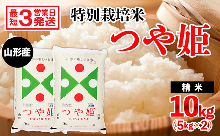 FY20-637 [令和3年産]山形産特別栽培米 つや姫 10kg(5kg×2)