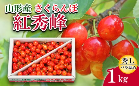 さくらんぼ紅秀峰 L 1kg バラ詰め 【令和7年産先行予約】FU20-091 くだもの 果物 フルーツ 山形 山形県 山形市 2025年産