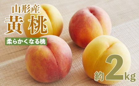 山形産 黄色い桃(有袋・無袋)2kg(5～10玉)[柔らかくなる桃] 【令和6年産先行予約】FU21-166