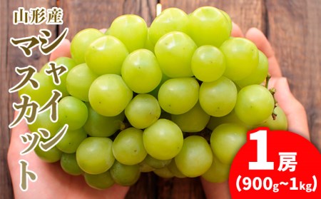 [VC}XJbg CTCY 1[(900g`1kg)yߘa8NYs\zFU21-169  ʕ t[c R` R` R`s 2026NY