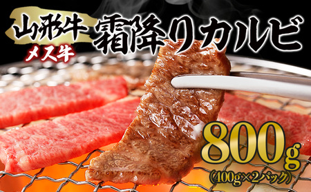 R` X ~Jr 800g(400g×2) FZ21-189
