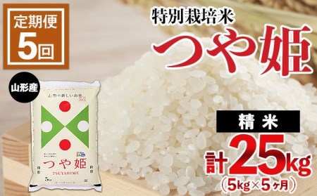 【定期便5回】山形産 特別栽培米 つや姫 5kg×5ヶ月(計25kg) FY24-470