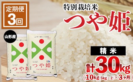 【定期便3回】山形産 特別栽培米 つや姫 10kg(5kg×2)×3ヶ月(計30kg)