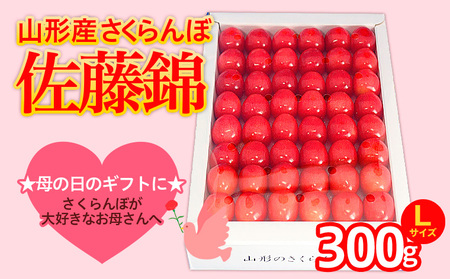 5月まるごと母の日★さくらんぼ 佐藤錦 Lサイズ 300g 手詰 (5/15〜発送)[令和8年産先行予約]FS25-551