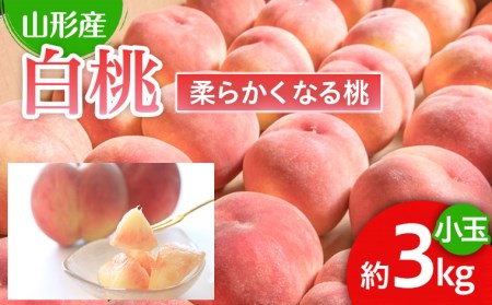 lCłIR`Y   Gi 3kg[_炩Ȃ铍] yߘa8NYs\zFU22-745  ʕ t[c R` R` R`s 2026NY