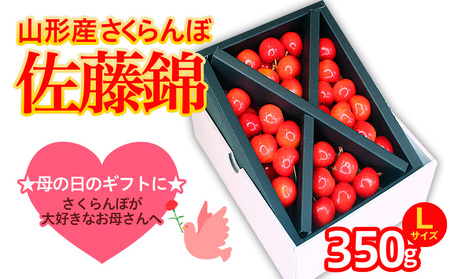 T܂邲ƕ̓  LTCY 350g (5/15`)yߘa8NYs\z FS25-550