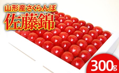 山形産 ハウス さくらんぼ 佐藤錦 300g 鏡詰 Lサイズ以上 【令和6年産