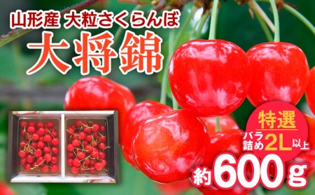 R`Y 嗱 叫 I ol 2Lȏ 600g yߘa8NYs\zFS25-714  ʕ t[c R` R` R`s 2026NY