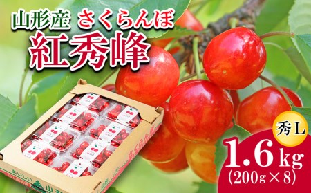 さくらんぼ 紅秀峰 L 1.6kg(200g×8) 【令和6年産先行予約】FU21-815