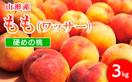 R`sY (bT[)3kg(8`11)[d߂̓] yߘa8NYs\zFU21-819  ʕ t[c R` R` R`s lC 2026NY