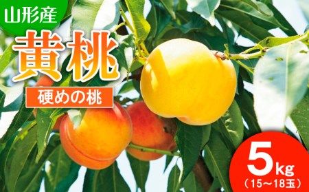 R`sY ()5kg(15`18)[d߂̓] yߘa8NYs\zFS25-730  ʕ t[c R` R` R`s lC 2026NY