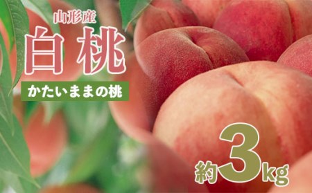 山形の産直所で人気！硬くてカリカリの桃 3kg(5～12玉) 【令和6年産先行予約】FU21-831