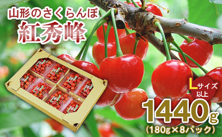 R`̂ gG 1440g(180g×8pbN) LTCYȏ yߘa8NYs\zFS25-521